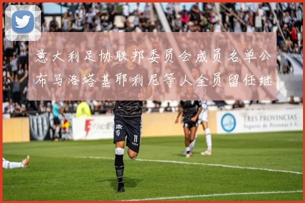 意大利足协联邦委员会成员名单公布马洛塔基耶利尼等人全员留任继续服务