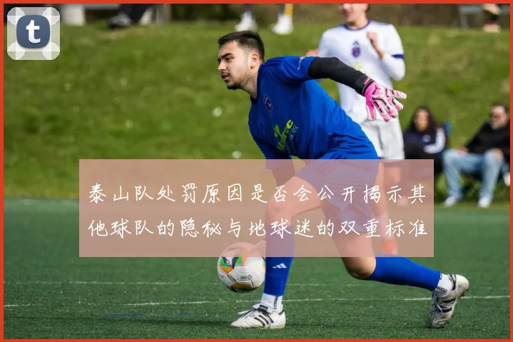 泰山队处罚原因是否会公开揭示其他球队的隐秘与地球迷的双重标准